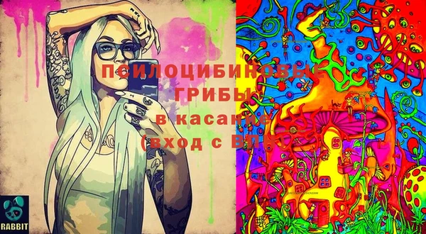 эйфоретик Верея