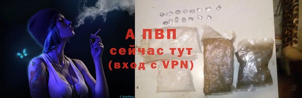 эйфоретик Верея